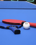 Mesa de Ping Pong Cayman Stag - Image 4